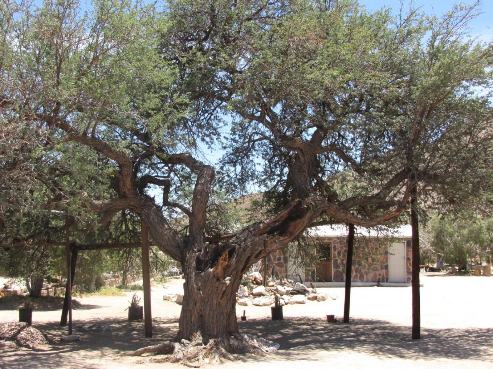 Mount Canyon Guest Farm Keetmanshoop Exterior foto
